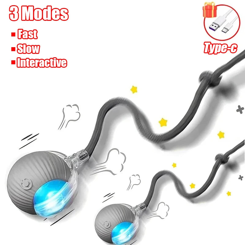 Interactive Rolling Cat Toy WAGGING TAIL