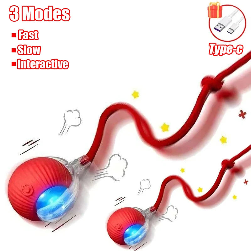 Interactive Rolling Cat Toy WAGGING TAIL