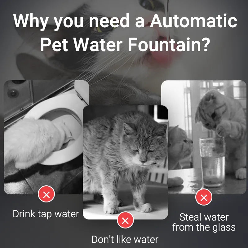 Smart Cat Water Fountain WAGGING TAIL