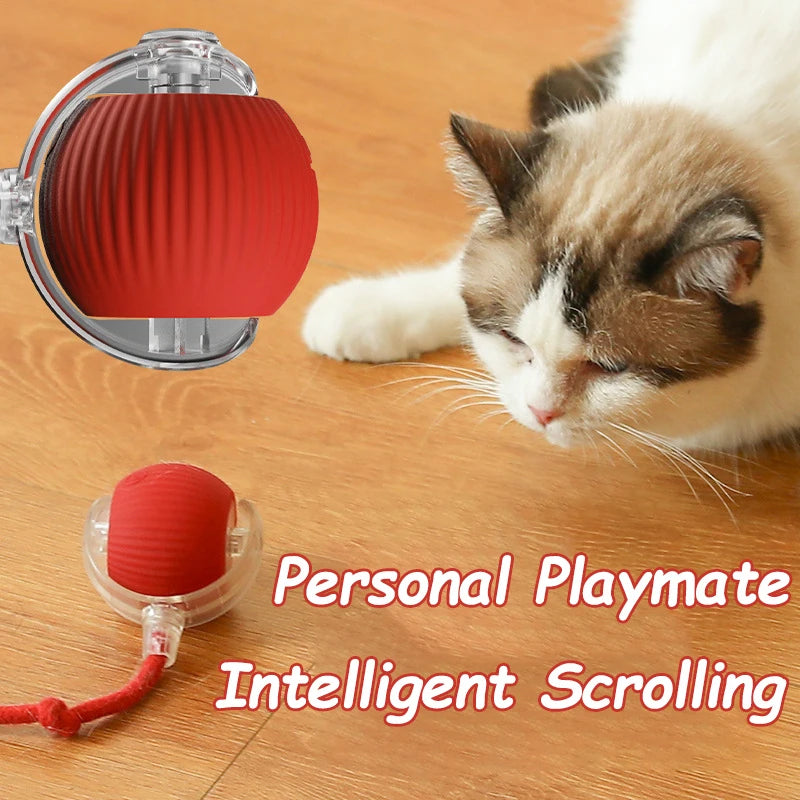 Interactive Rolling Cat Toy WAGGING TAIL