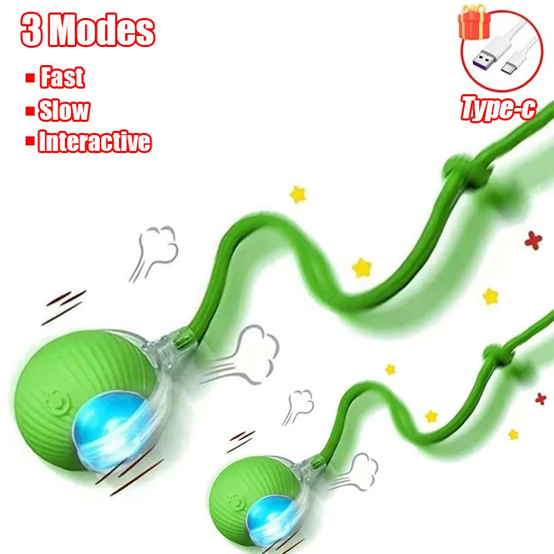 Interactive Rolling Cat Toy WAGGING TAIL