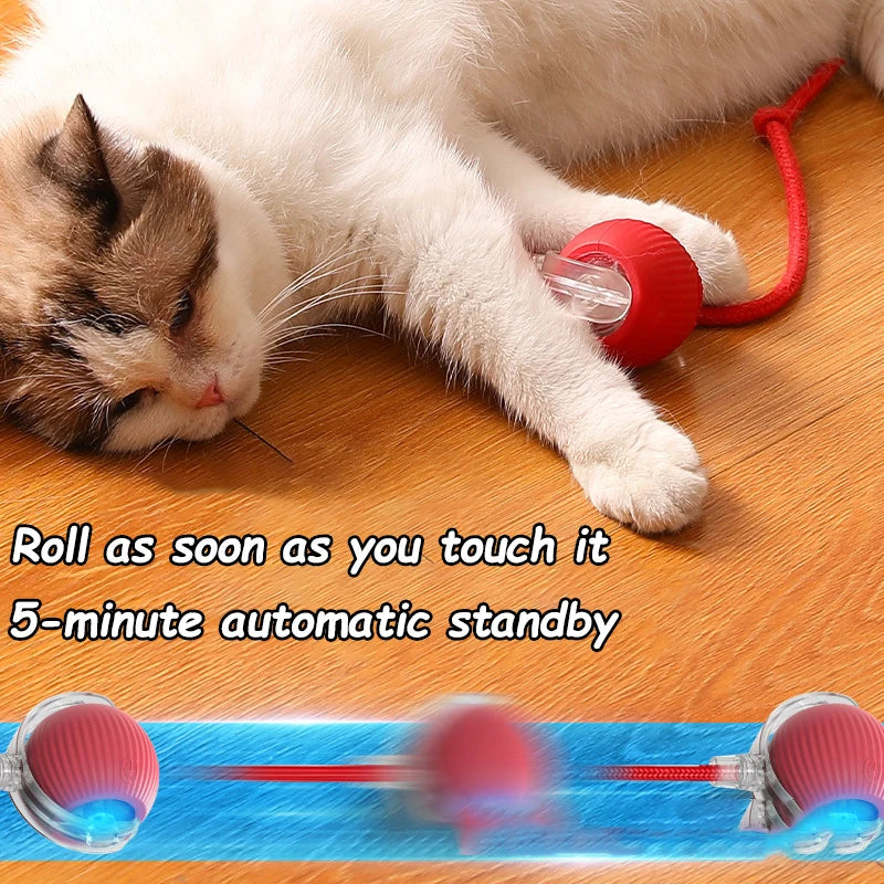 Interactive Rolling Cat Toy WAGGING TAIL