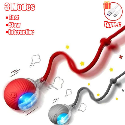 Interactive Rolling Cat Toy WAGGING TAIL